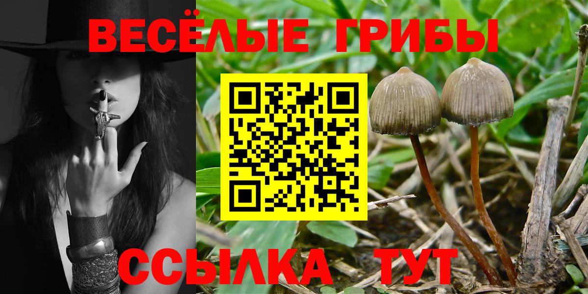 Артём  Псилоцибиновые грибы Psilocybine cubensis  Галлюциногенные грибы прущие грибы  Вход с VPN 